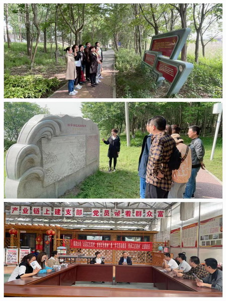 蘇鹽集團各級團組織開展學(xué)黨史主題團日活動