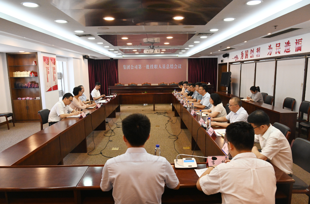 蘇鹽集團(tuán)黨委召開(kāi)第一批掛職人員總結(jié)會(huì)議