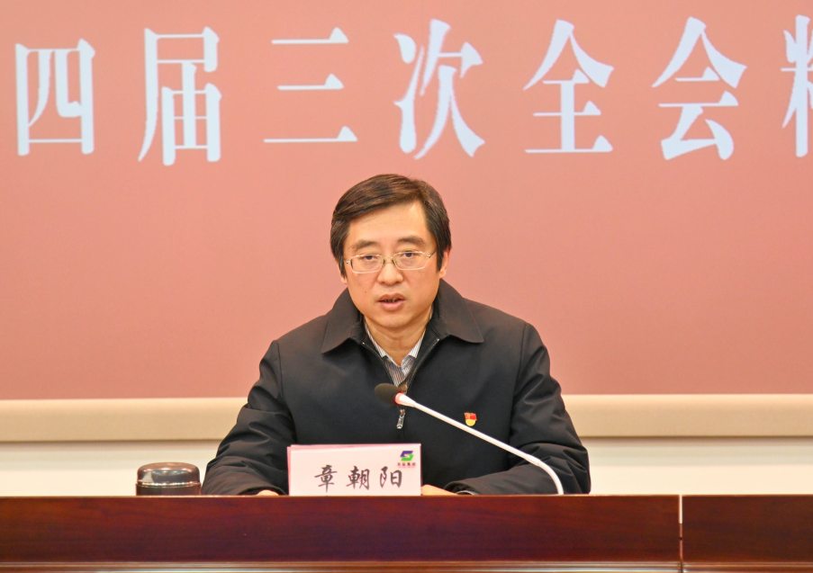 蘇鹽集團召開領導干部會議專題傳達學習省委十四屆三次全會精神