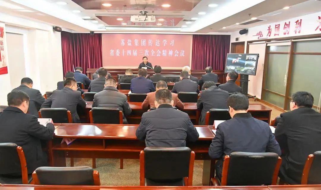 蘇鹽集團召開領導干部會議專題傳達學習省委十四屆三次全會精神